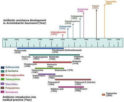 Convergence of Biofilm Formation and Antibiotic Resistance in Acinetobacter baumannii Infection